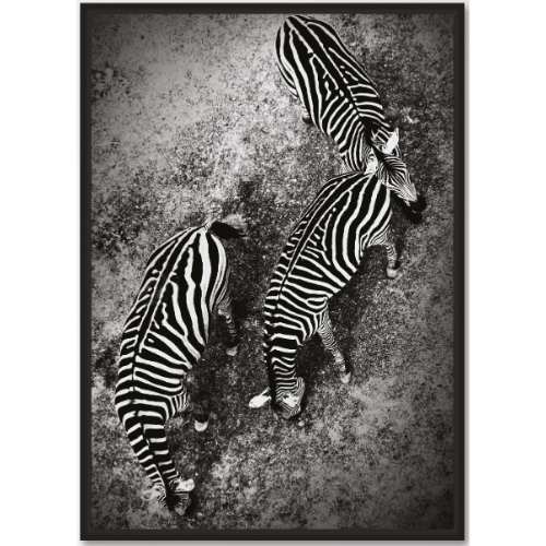 Picture of Slika sa ramom 27x37cm zebra