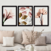 Picture of Slike cveće sa ramom, set sa 3 slike, 35x45 cm