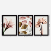 Picture of Slike cveće sa ramom, set sa 3 slike, 35x45 cm