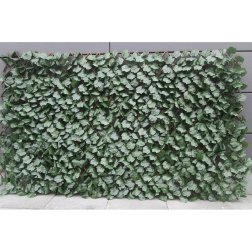 Picture of Dekorativna ograda harmonika ivy, tamno zelena