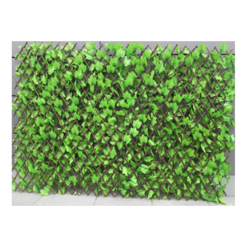 Picture of Dekorativna ograda harmonika ivy, svetlo zelena