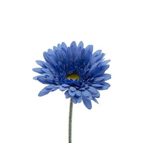 Picture of Veštački cvet gerber 64cm, plavi