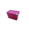 Picture of Family Box Deep kutija za odlaganje 30l, više boja